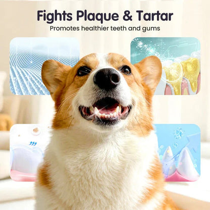 🔥Fogspray - Szüntesd meg a rossz leheletet és a fogkövet a forrásánál